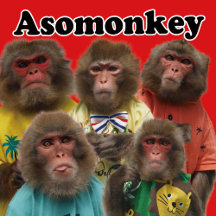 Asomonkey Cute Monkeys