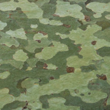 Declarations Face Masks