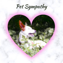 Pet Sympathy Cards