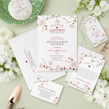 Little Ladybug Baby Shower