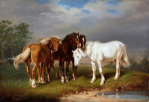 Country Life w/Horses & Western Themes