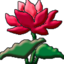 Lotus Designs