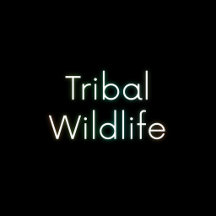 Tribal Wildlife