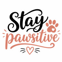 Pawsitive