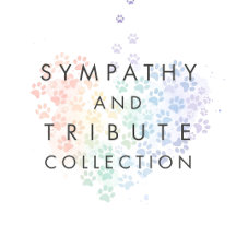 Rainbow Bridge Cat Loss Sympathy Cards