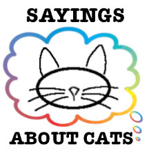 sayings about cats