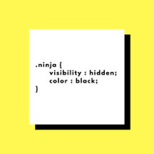 Ninja Visibility Hidden Color Black