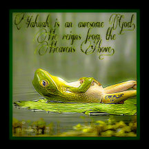 Amphibian Models: Frog Laze