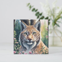 Lynxes and Bobcats