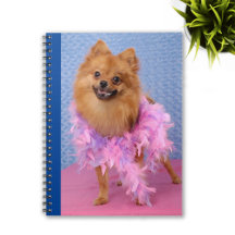 Pomeranian Dog Breed Gifts, Decor and Keepsakes