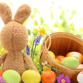 Eggstravaganza Collection