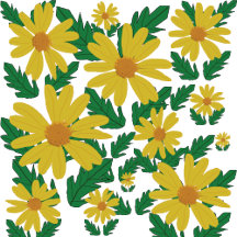 Yellow daisy flowers with green leaves