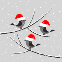 Christmas Birds in Santa Red Hats