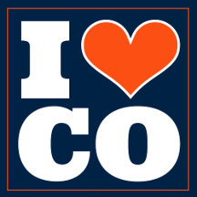 COLORADO SPORTS PILLOWS