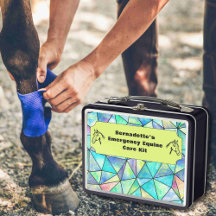 Equine First Aid Container