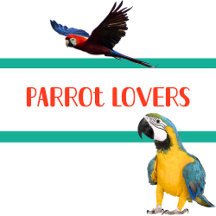 Parrot Lovers Gifts