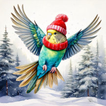 Sweatshirts, Winter Holiday Parakeets 