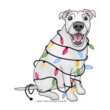 Pitbulls, Staffies, Pibbles, AmStaffs, Pitties