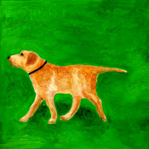 Biscuit’s Best Day