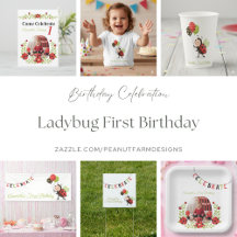First Birthday - Ladybug