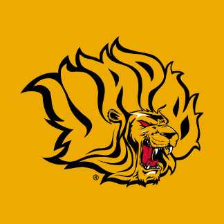 University of Arkansas at Pine Bluff