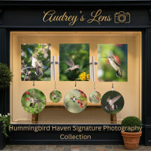Hummingbird Haven Signature Photography Collection