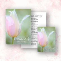 Pastel Tulip Flower Spring Funeral Memorial