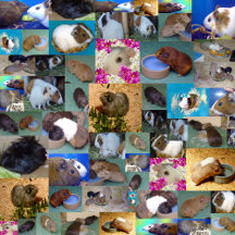 Birthday Party Accessories For Young At Heart.