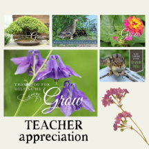 Nature Thank You Cards