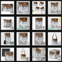 (Feline Fancy) Kitty Contemplation