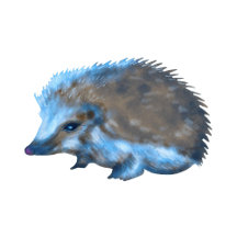 Sweet Hedgehog