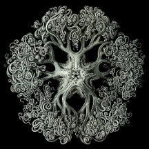 Mobile Device Cases and Accessories