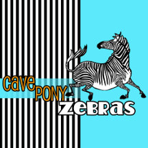 Cave Pony Zebras