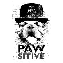 Keep Calm and Stay Pawsitive Collection
