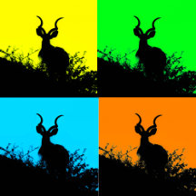 Kudu Design