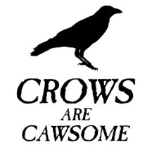 Crows Are Cawsome