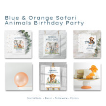 Blue & Orange Safari Animals Birthday Party