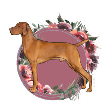 Vizsla