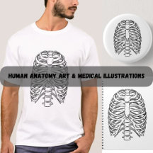 Human Anatomy Art & Medical Illustrations