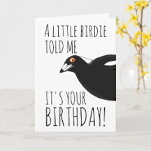 Magpie birthday Cards