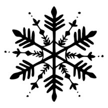 Black & White Minimalistic Graphic Snowflake