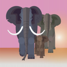Elephant Illustrations