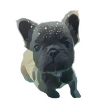 Louis the Frenchie Pup - Medical Fundraiser