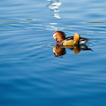 Puzzles and Gifts for Kids