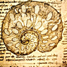 Leonardo da Vinci Collection