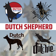 Dutch Shepherd Dog