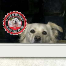 Pet SAFETY ALERT Stickers, Window Clings & Magnets