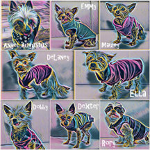 Tiny Mighty DREAM Team