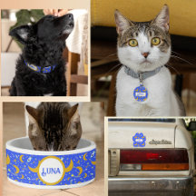 Luna Spaceship Shooting Stars 