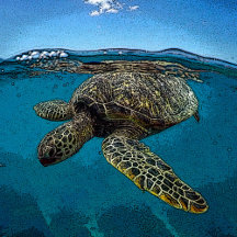 Sea Turtle